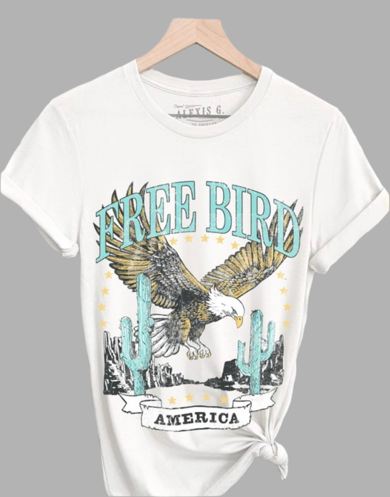 Free Bird America
