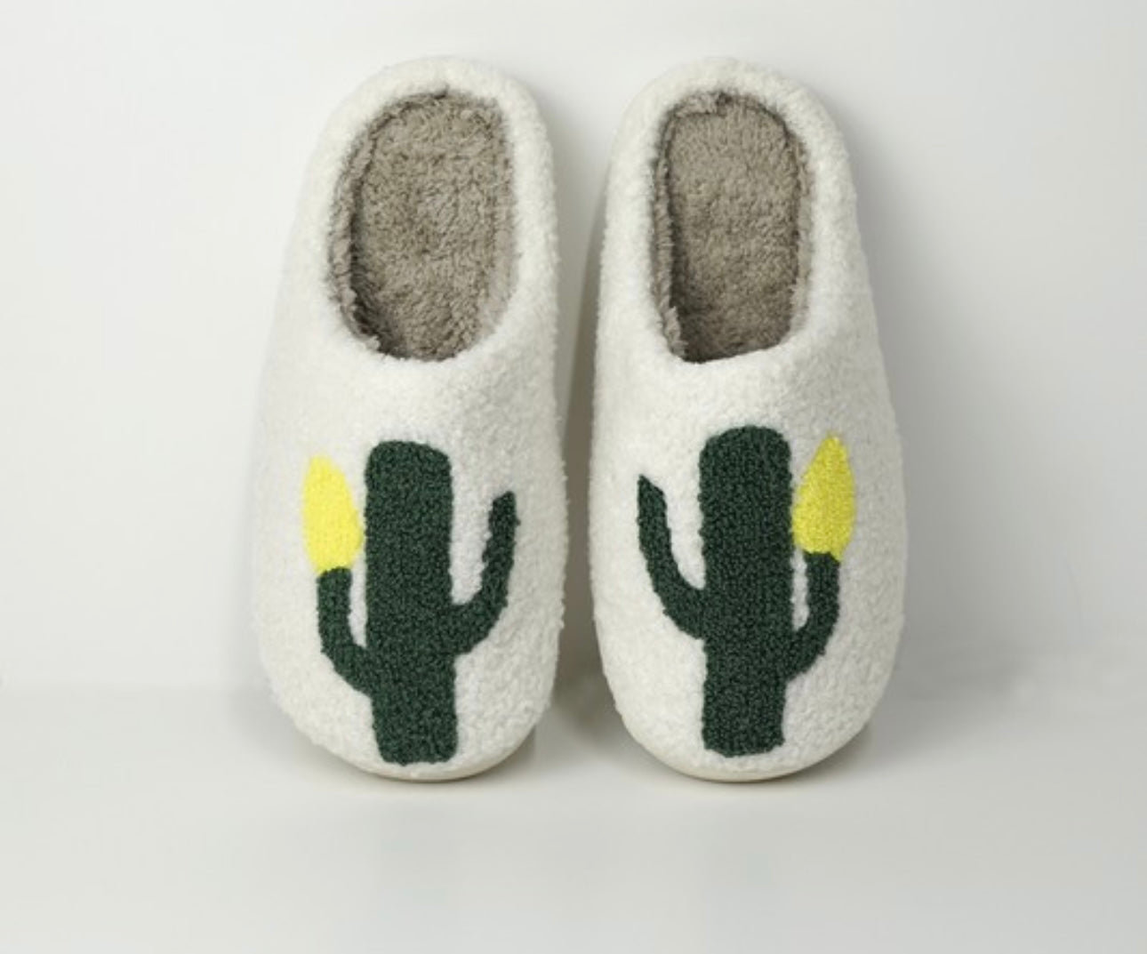 Cactus Slippers