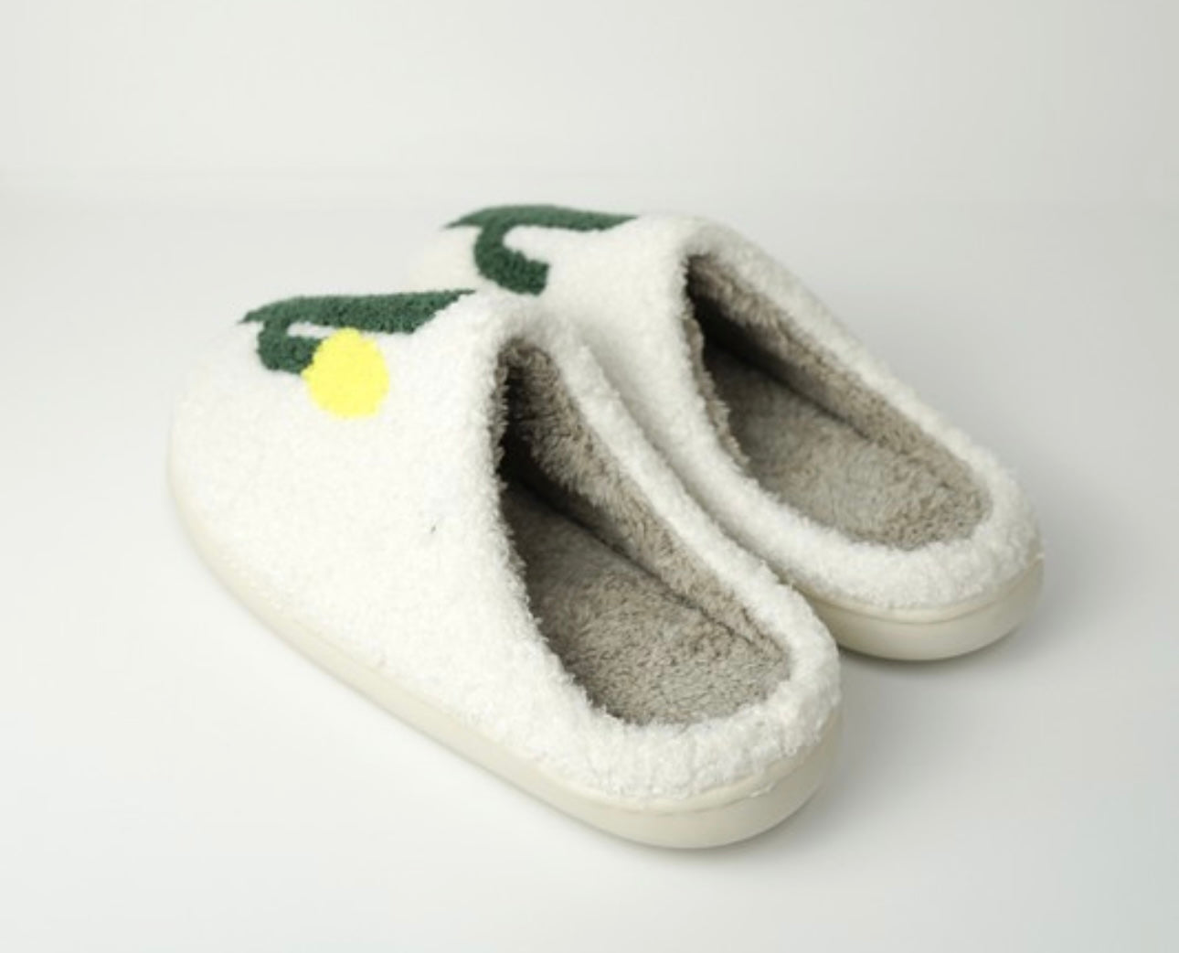 Cactus Slippers
