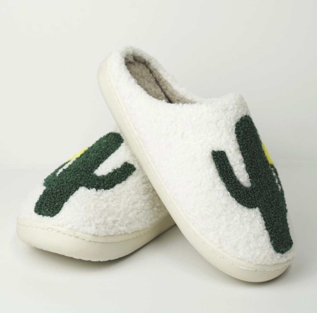 Cactus Slippers